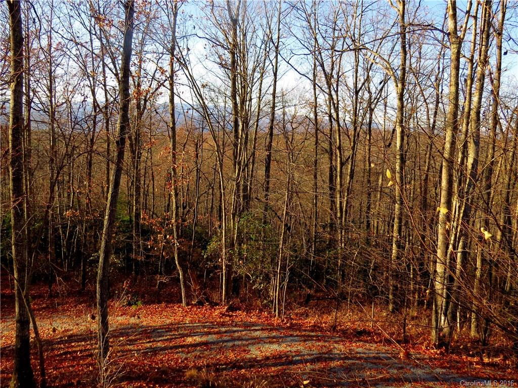 229 Slick Rock Road - Photo 19