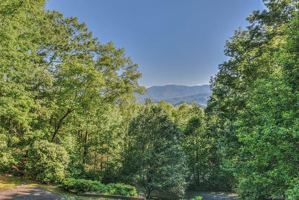 1021 Rabbit Skin Road - Photo 4