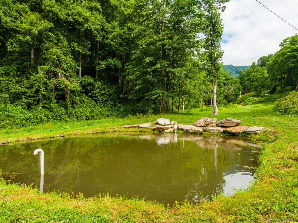 710 Wolf Branch Road - Photo 22