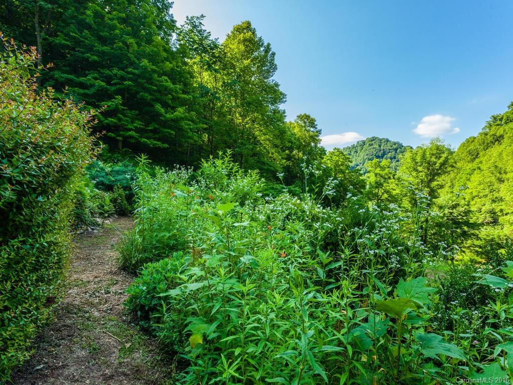 710 Wolf Branch Road - Photo 23