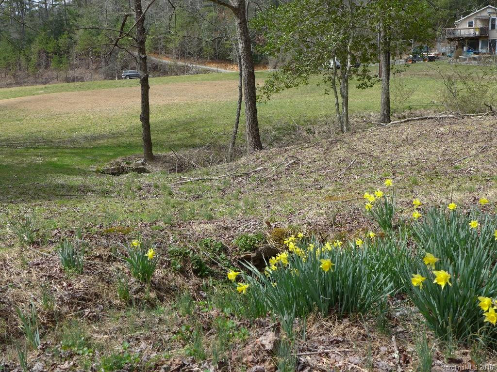 942 Old Nc 280 Highway - Photo 19