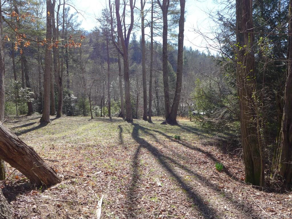 942 Old Nc 280 Highway - Photo 8