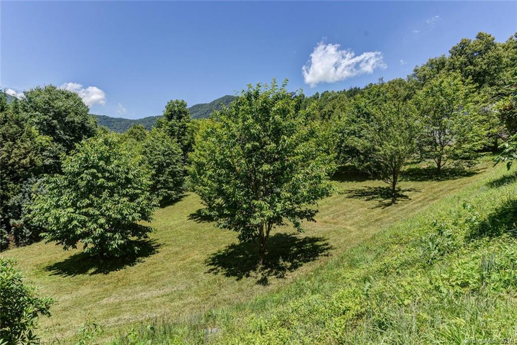 595 Hunters Ridge Road #20 - Photo 17
