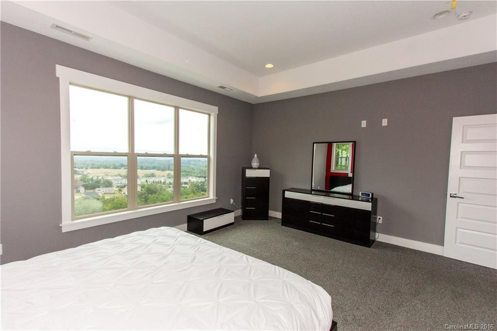 88 Climbing Aster Way - Photo 13