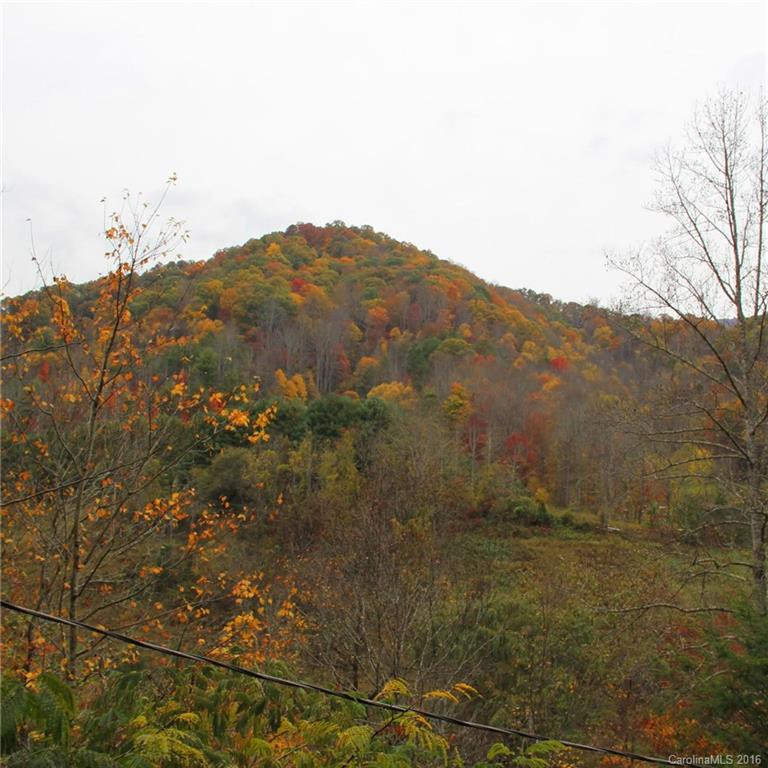 587 Clarks Branch Road - Photo 12