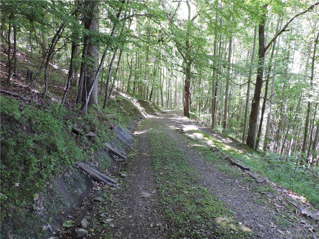 763 Sang Branch Road #0018 - Photo 19