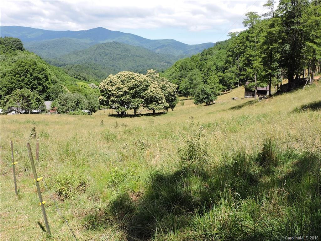 763 Sang Branch Road #0018 - Photo 22