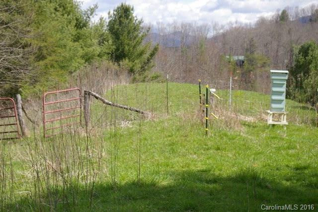 2539 Old Nc 197 Highway - Photo 11