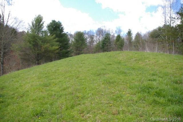 2539 Old Nc 197 Highway - Photo 12