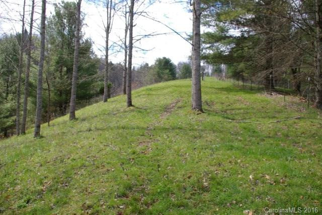 2539 Old Nc 197 Highway - Photo 13