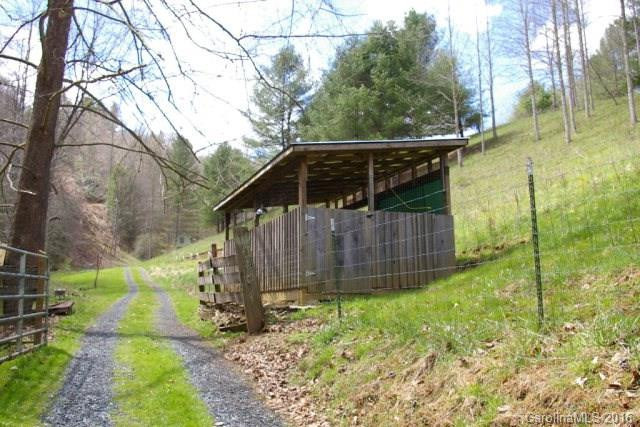 2539 Old Nc 197 Highway - Photo 16