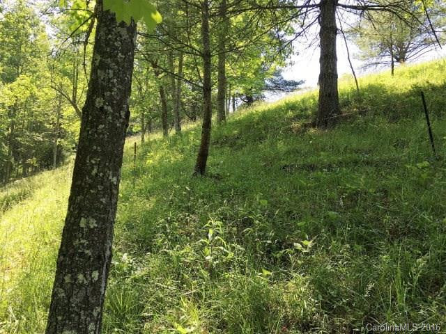 2539 Old Nc 197 Highway - Photo 21