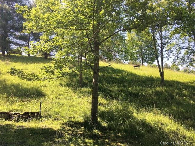 2539 Old Nc 197 Highway - Photo 23