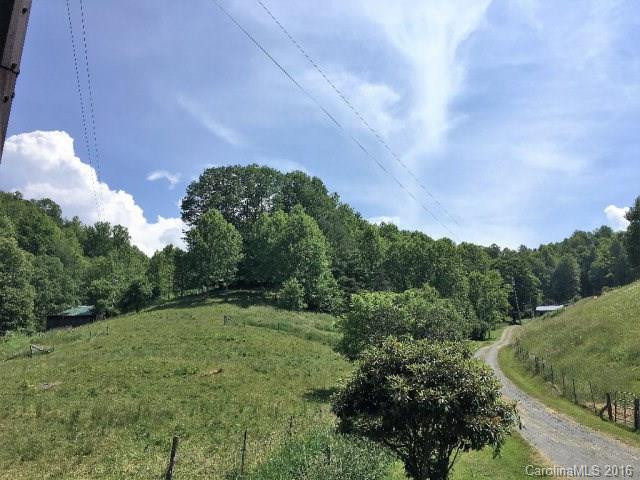 2539 Old Nc 197 Highway - Photo 24