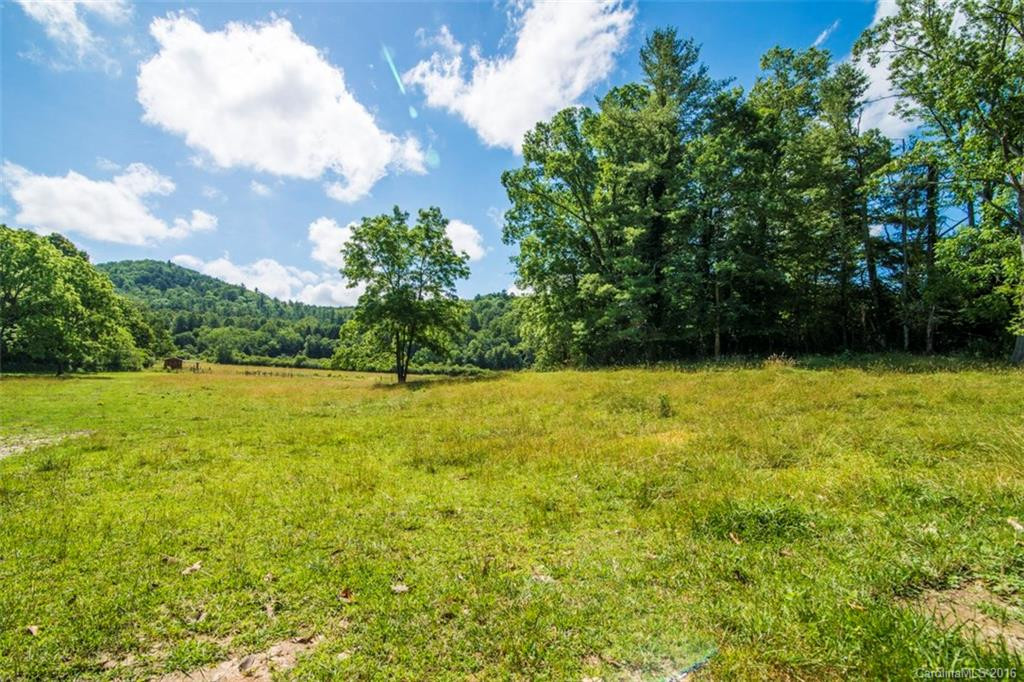 30 Kanuga Valley Lane - Photo 3