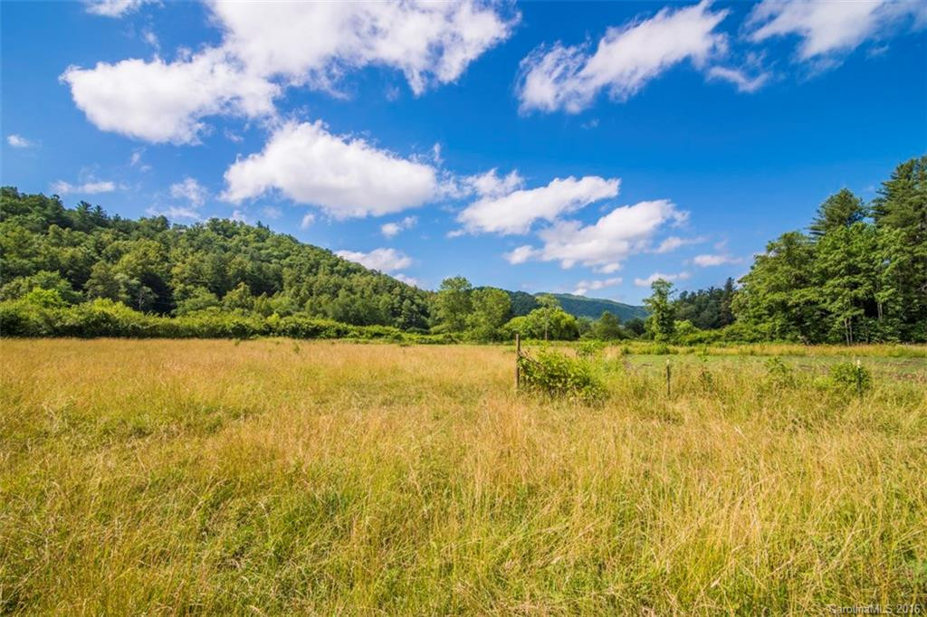 30 Kanuga Valley Lane - Photo 5