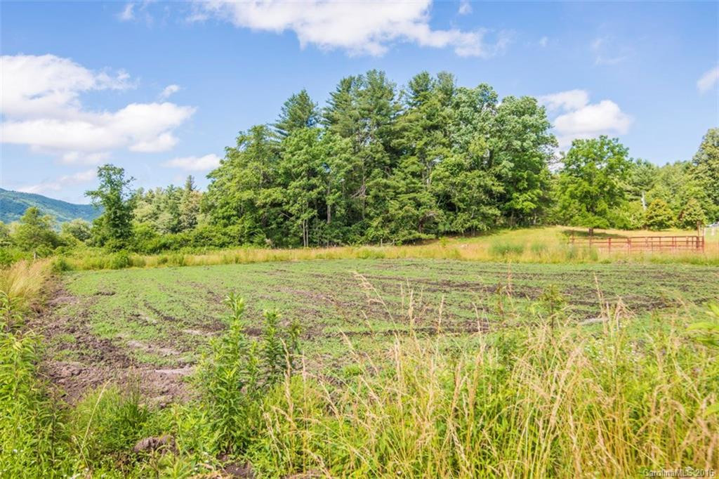 30 Kanuga Valley Lane - Photo 6