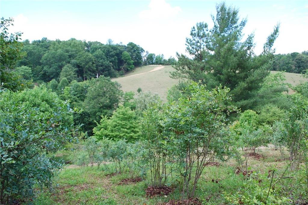60 Snelson Road - Photo 14