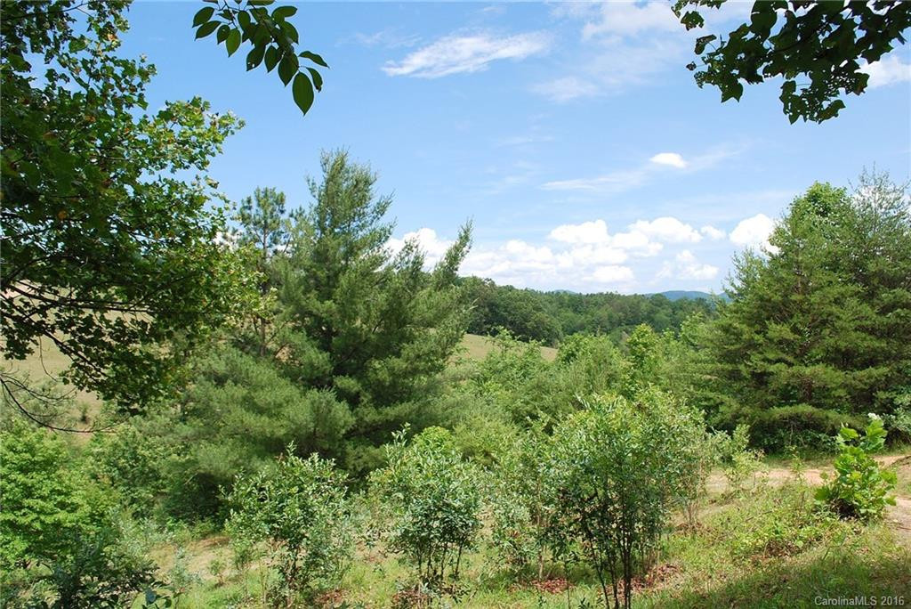 60 Snelson Road - Photo 17