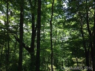 500 Toxaway Trail #6/3 - Photo 15