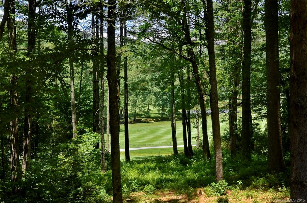 233 Wedge Shot Drive - Photo 22