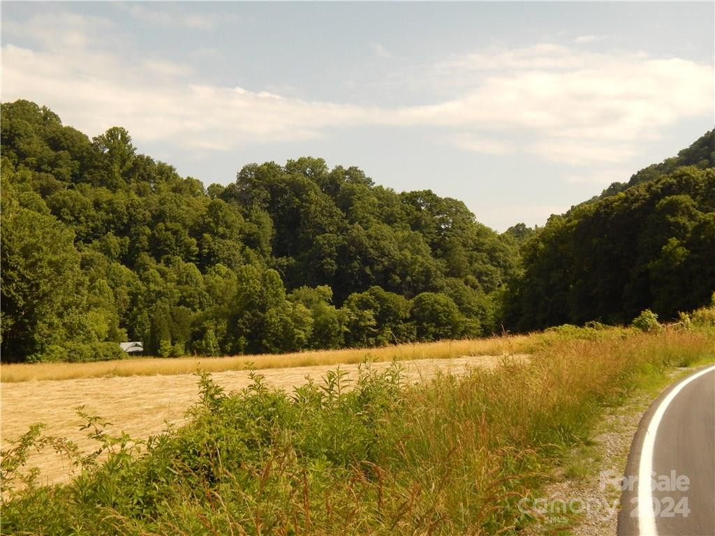 0 NC 209 Highway - Photo 2