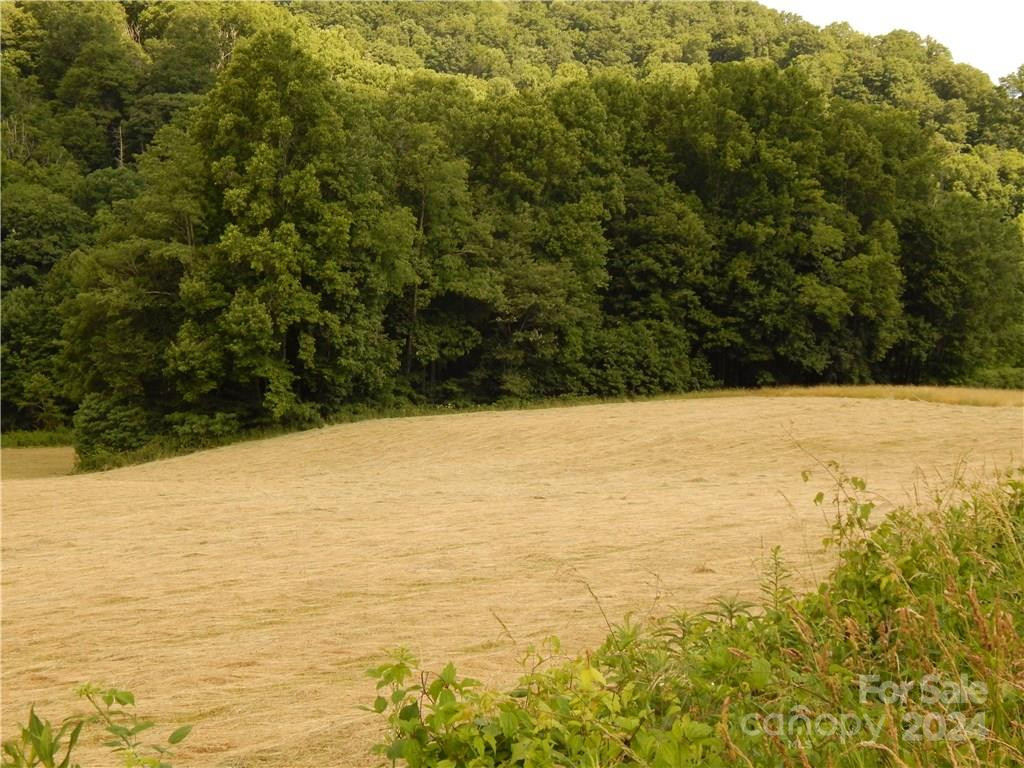 0 NC 209 Highway - Photo 7