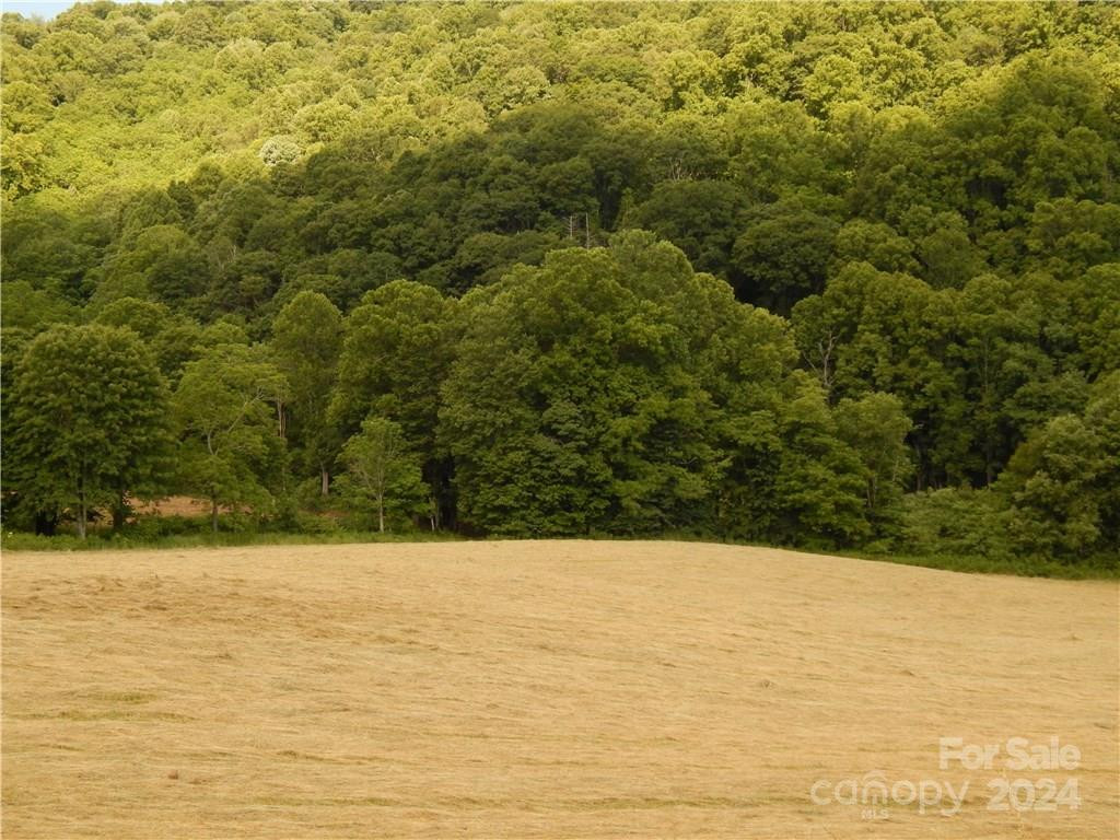 0 NC 209 Highway - Photo 8