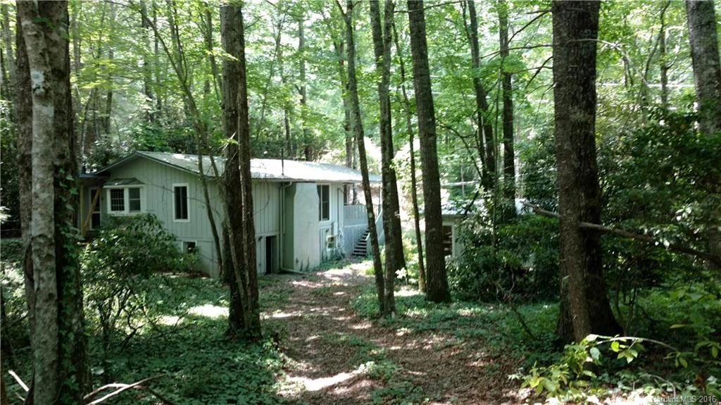 232 Wolf Ridge Road #6