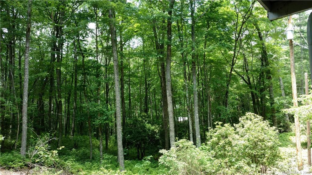 232 Wolf Ridge Road #6 - Photo 9