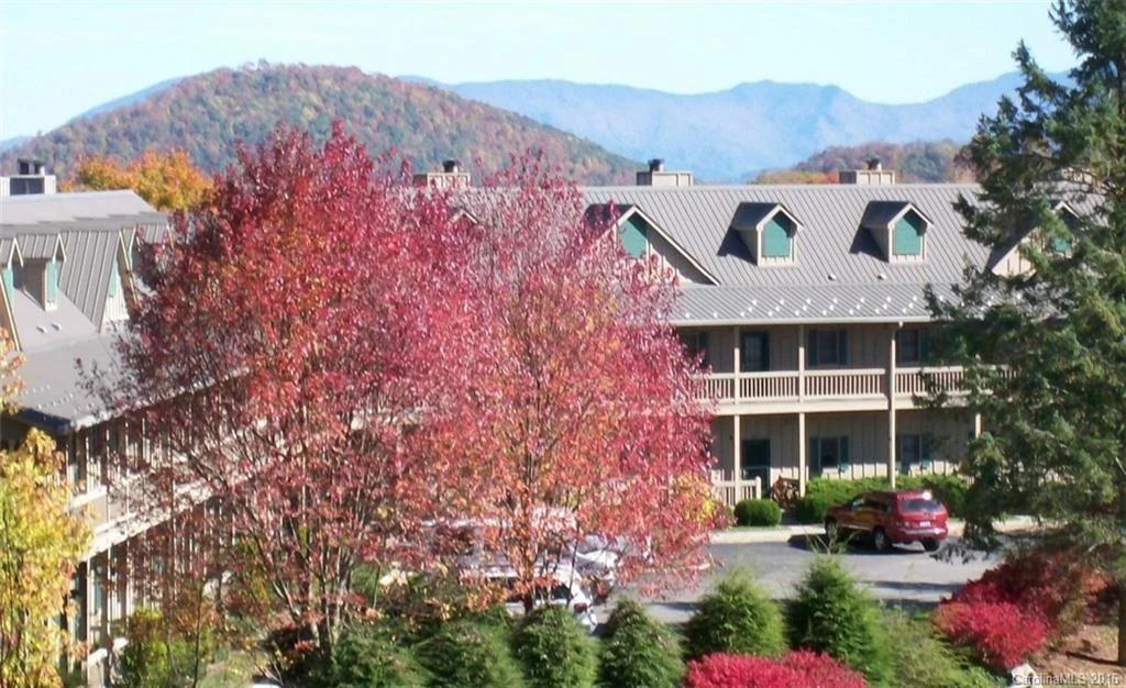 2541 Wolf Laurel Road #207