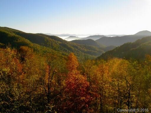 2541 Wolf Laurel Road #207 - Photo 2