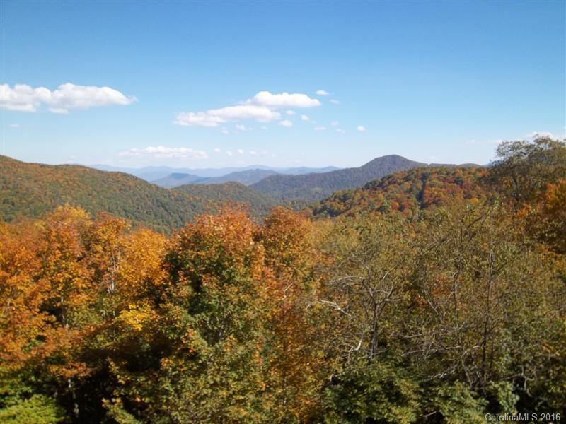 2541 Wolf Laurel Road #207 - Photo 3