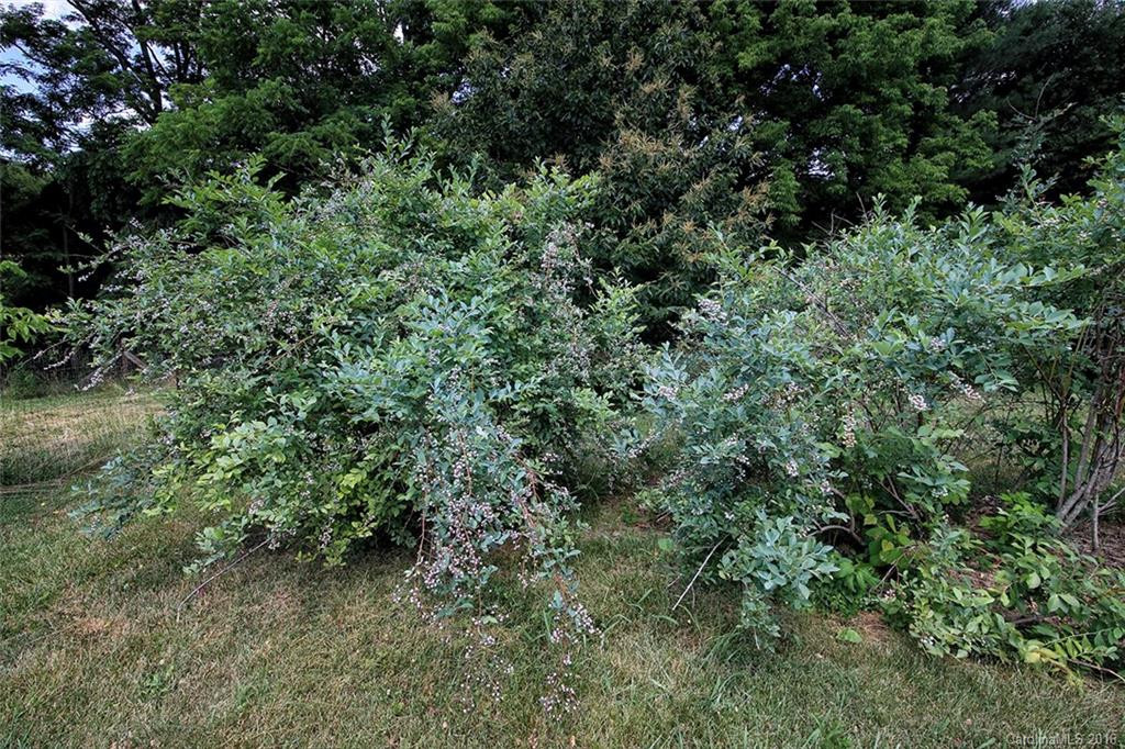 304 Youngs Cove Road - Photo 21