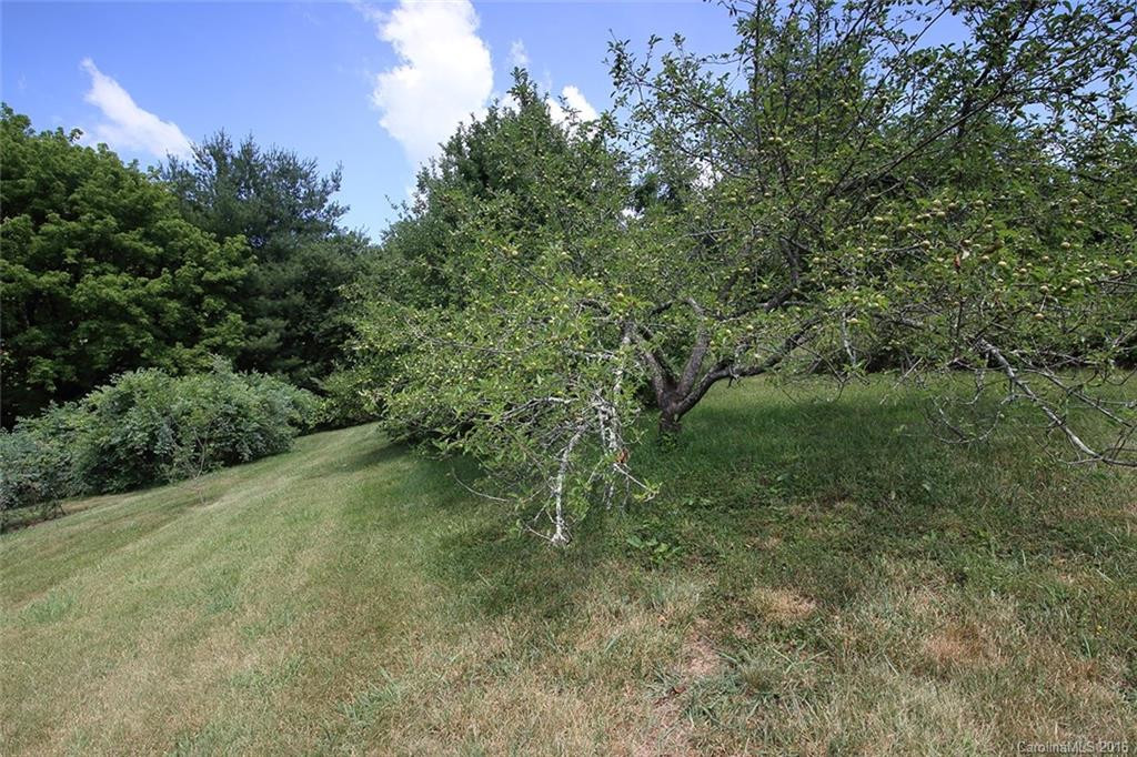 304 Youngs Cove Road - Photo 22