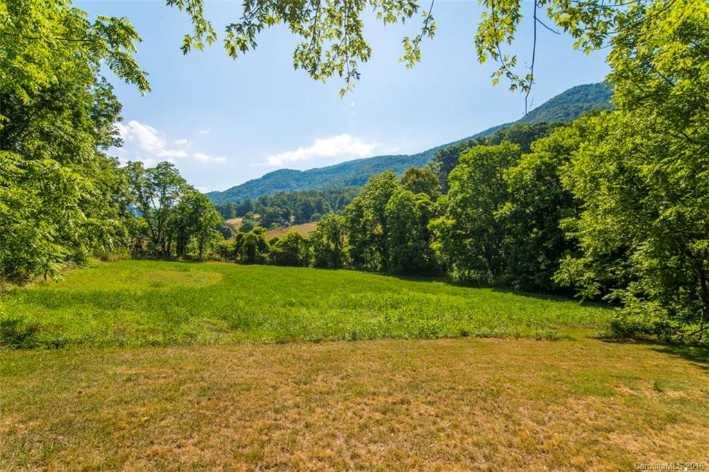 1445 Newfound Road - Photo 3