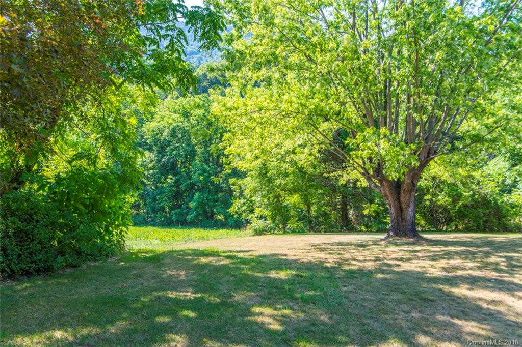 1445 Newfound Road - Photo 5
