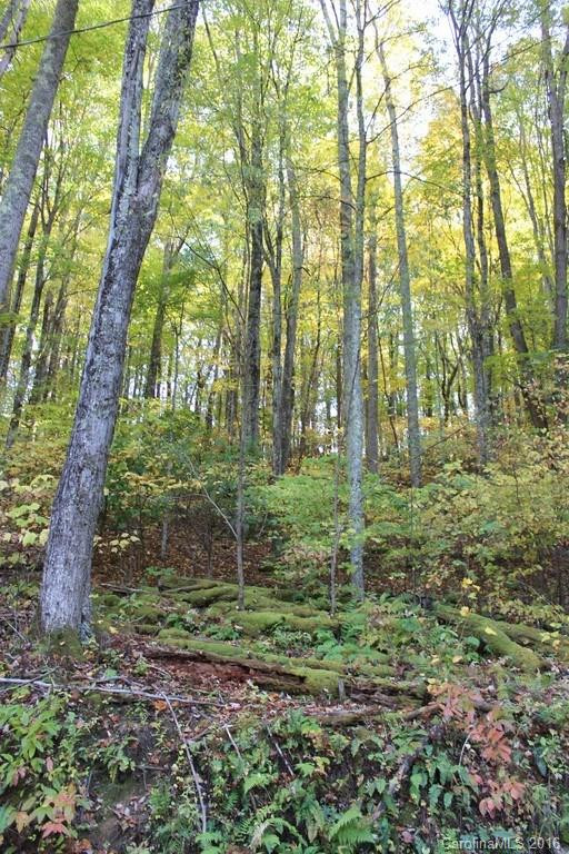 1119 Panther Branch Road - Photo 23