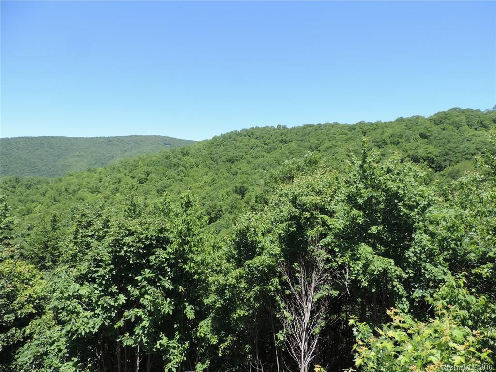 279 Catawba Ridge - Photo 12