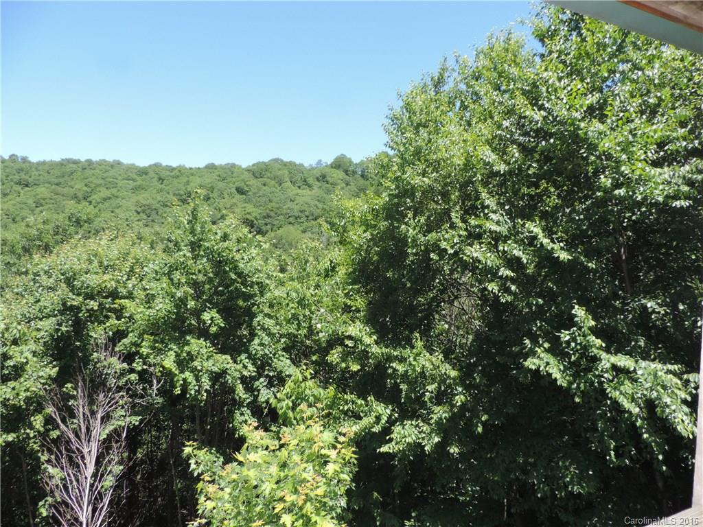 279 Catawba Ridge - Photo 13