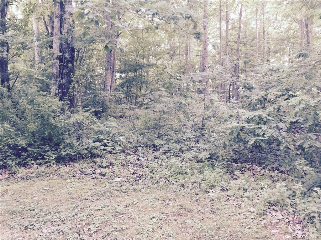 2160 Gilliam Mountain Road - Photo 13
