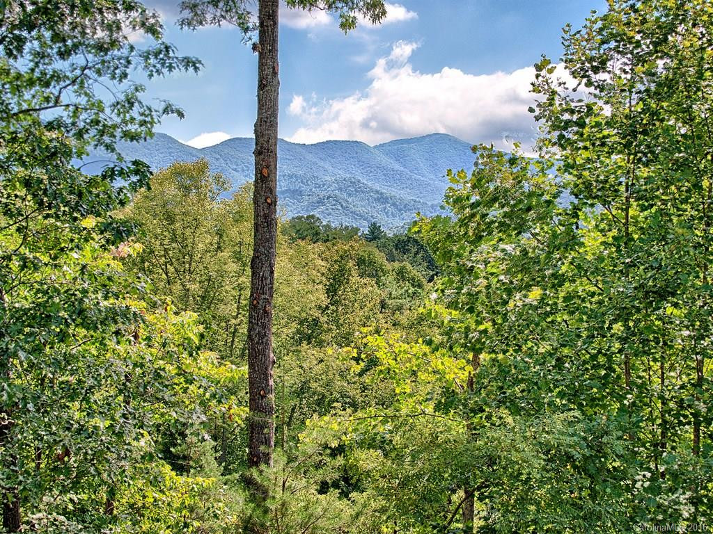103 Black Hawk Ridge #6 - Photo 4