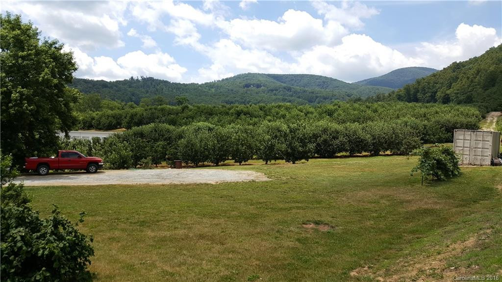 5147 Old Clear Creek Road - Photo 3