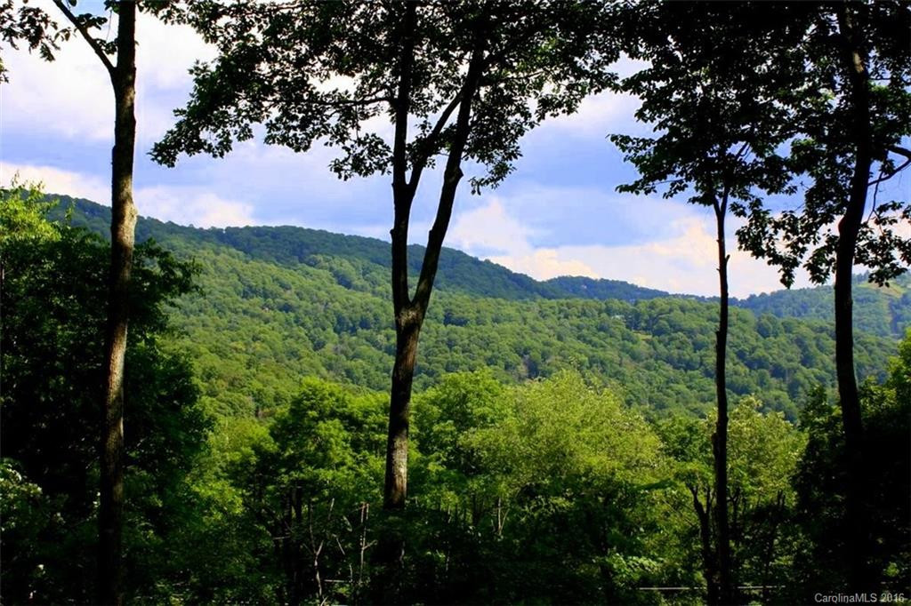 132 Hampton Gap Road #132 - Photo 2
