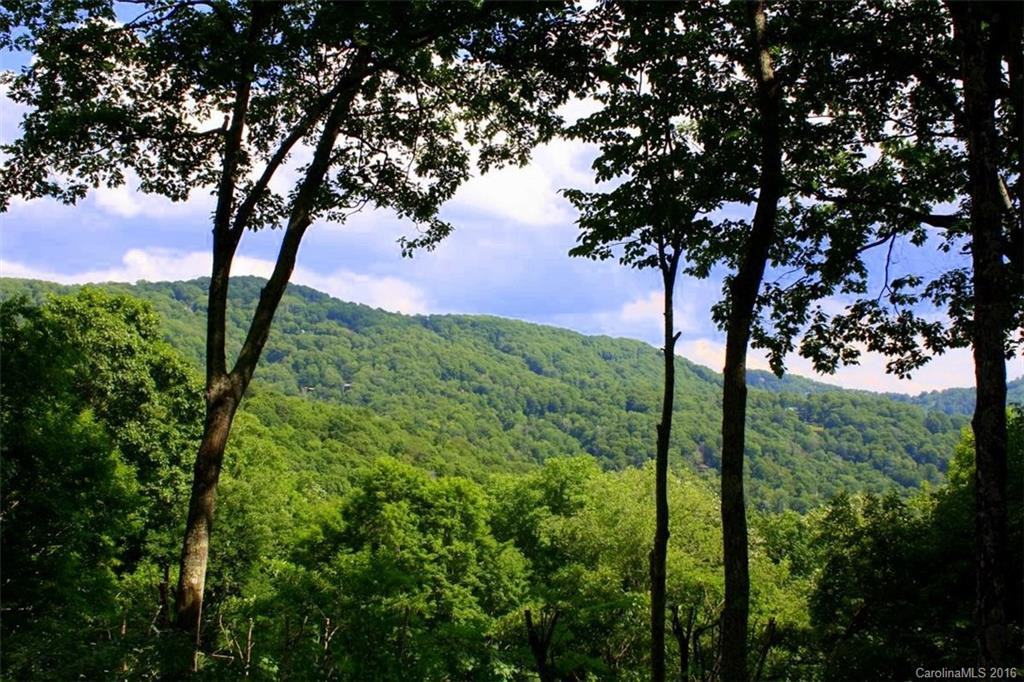 132 Hampton Gap Road #132 - Photo 4