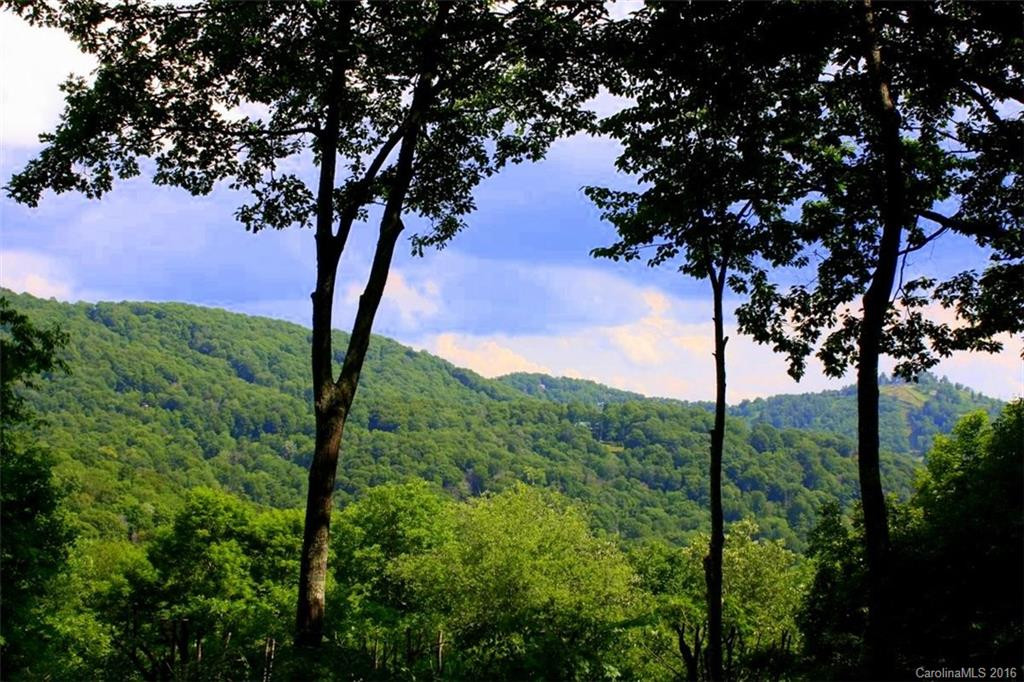 132 Hampton Gap Road #132 - Photo 6