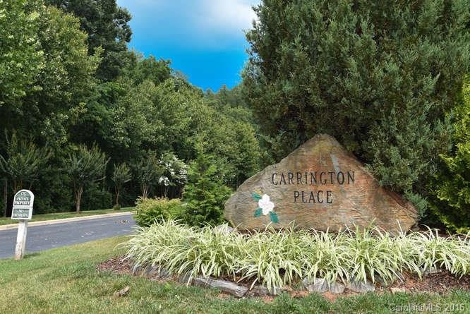 503 Carrington Place #503 - Photo 23
