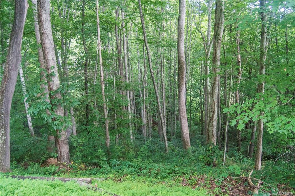 376 Lenwood Drive - Photo 23