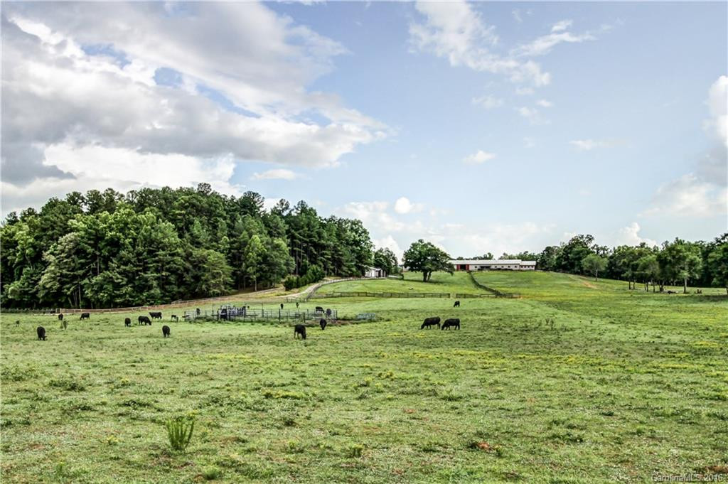 151 Lake Hill Farm Road - Photo 21