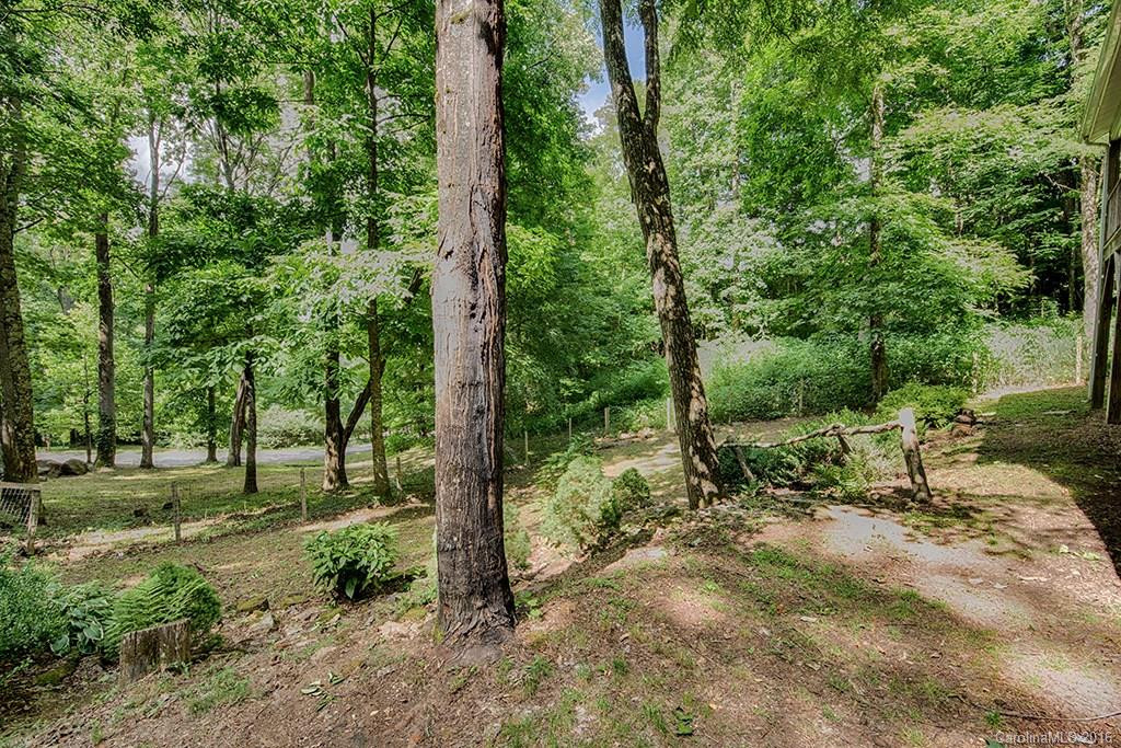975 Apple Creek Road - Photo 3